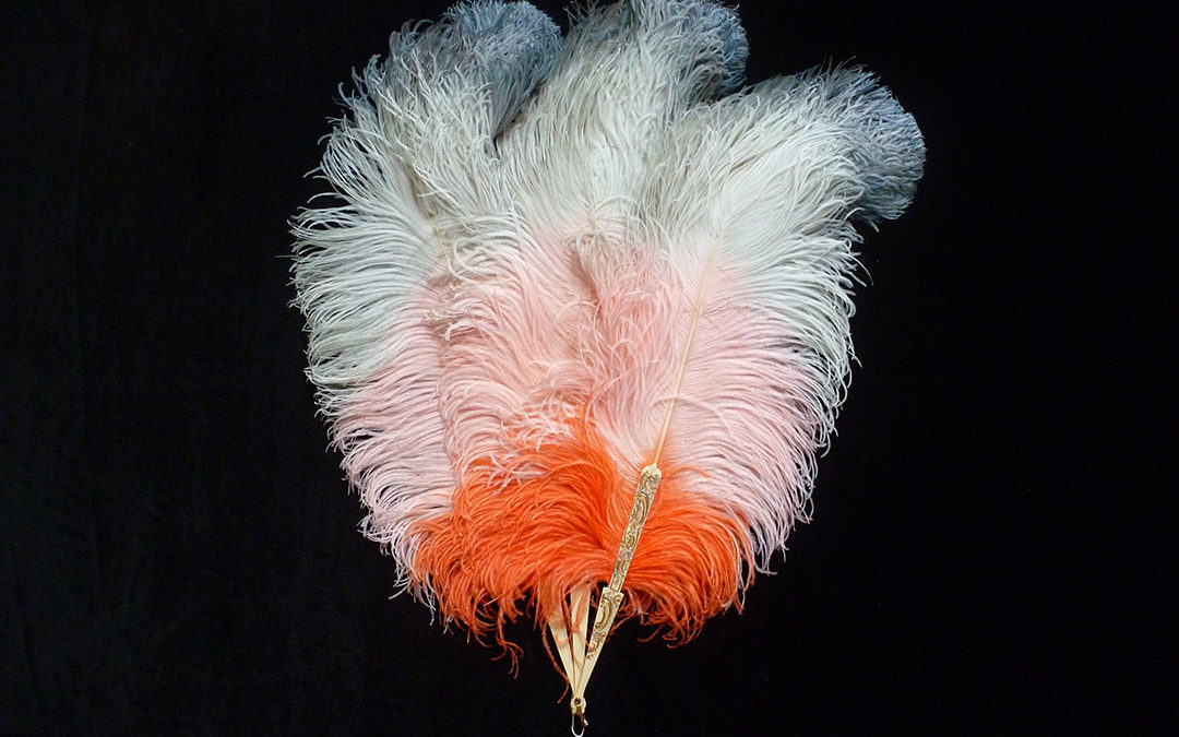 Plumes d’autruche quatre couleurs