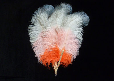 Plumes d’autruche quatre couleurs